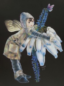 2014-05-17-09-17-34_deco