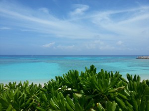 20140815_120005